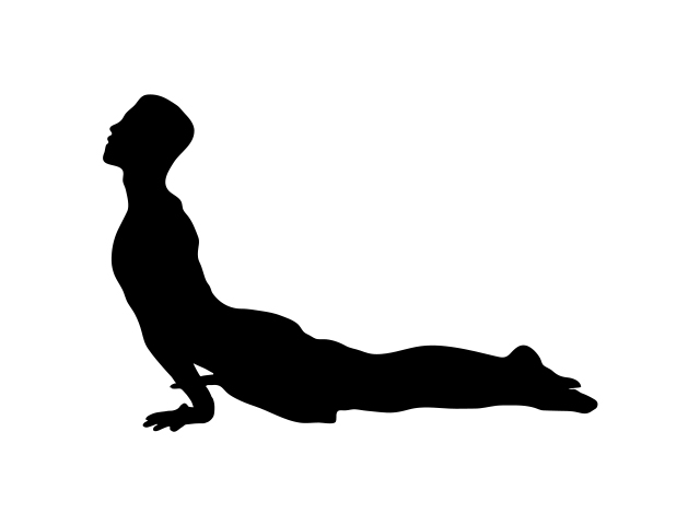 Stretch & Conditioning